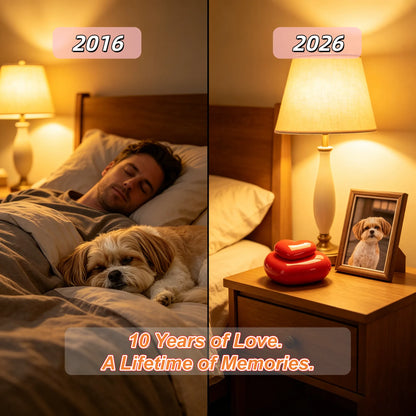 Heart-shaped pet memorial urn displayed beside a framed pet photo